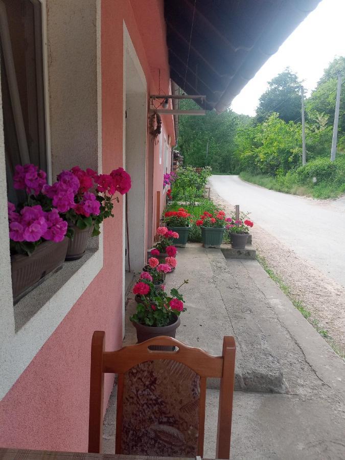 Ferienwohnung Valja Mare Moma Golubac Exterior foto