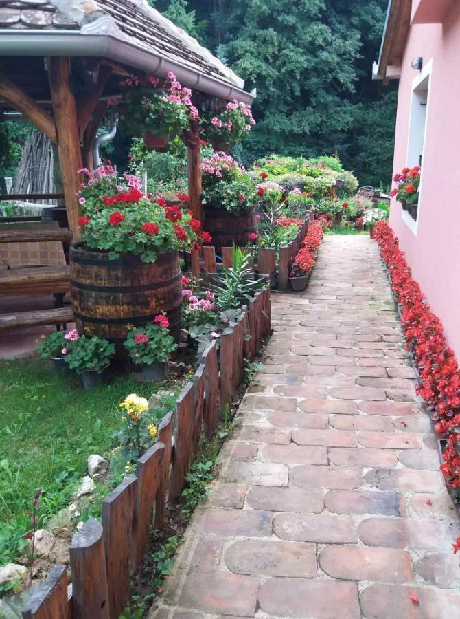 Ferienwohnung Valja Mare Moma Golubac Exterior foto